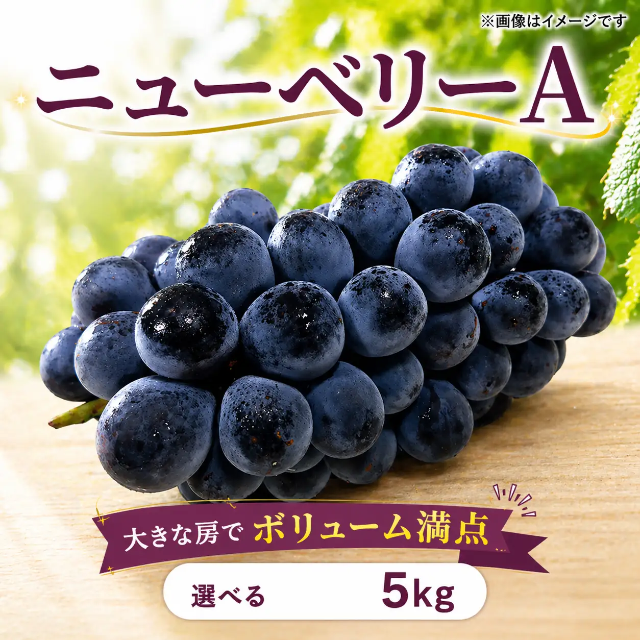 ぶどう ニューベリーA 5kg ぶどう