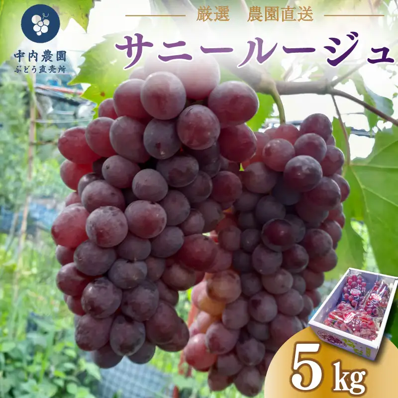 ぶどう サニールージュ 5kg ぶどう