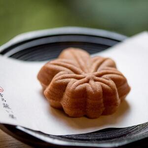 【藤い屋】もみじまんじゅう こしあん 10個入り｜饅頭 和菓子 贈答 広島