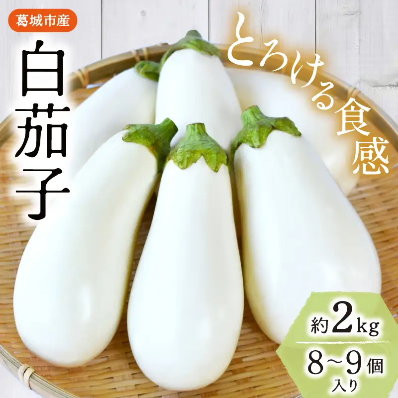茄子 とろ～り旨なす(白茄子) 約2kg 8～9個【2026年7月初旬～9月末頃順次発送】奈良県 葛城市【bfrk001】