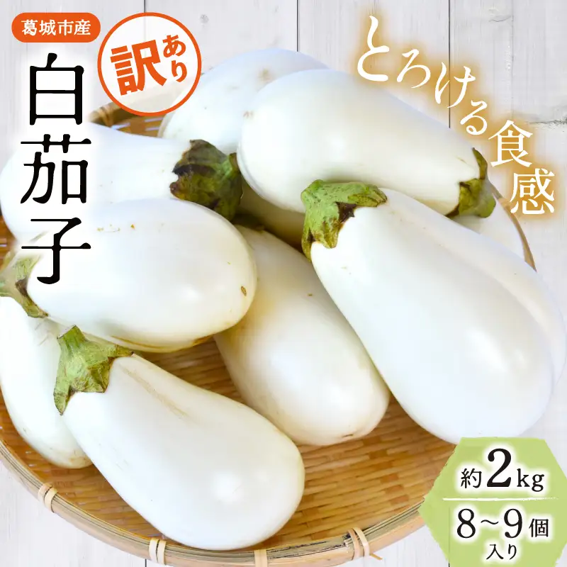 茄子 【訳あり】とろ～り旨なす(白茄子) 約2kg 8～9個【2026年7月初旬～9月末頃順次発送】奈良県 葛城市【bfrk002】
