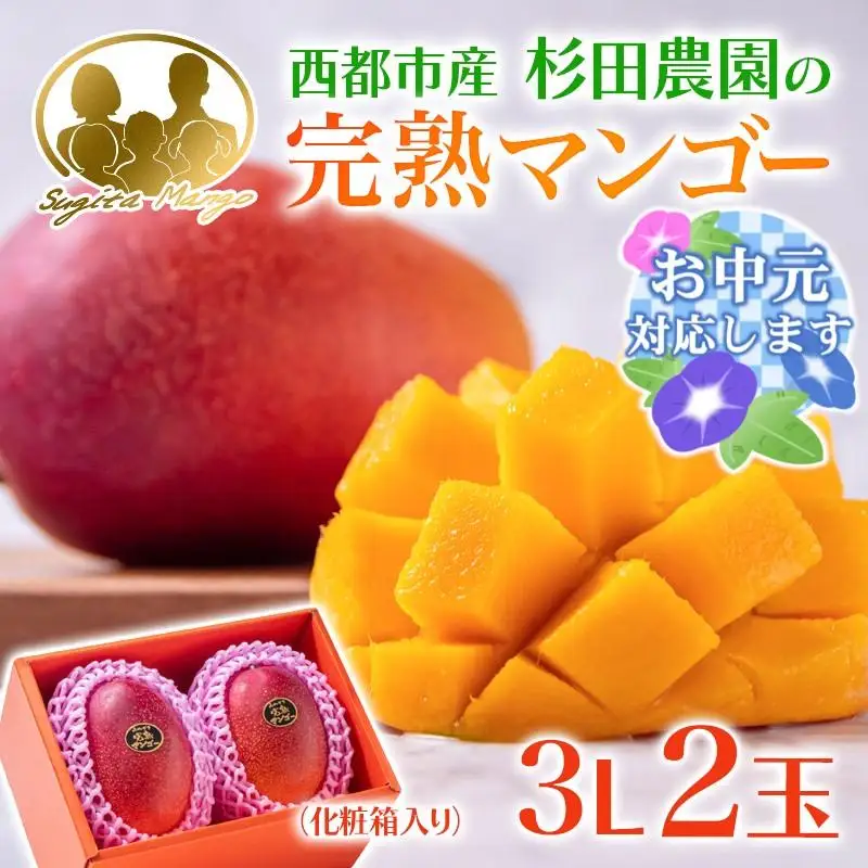 【お中元ギフト】今が旬！【杉田農園】西都市産 完熟マンゴー 2玉  900g~1kg 化粧箱入 生産者直送  宮崎マンゴー ＜38-2a＞ 果物 フルーツ 甘い 残りわずか