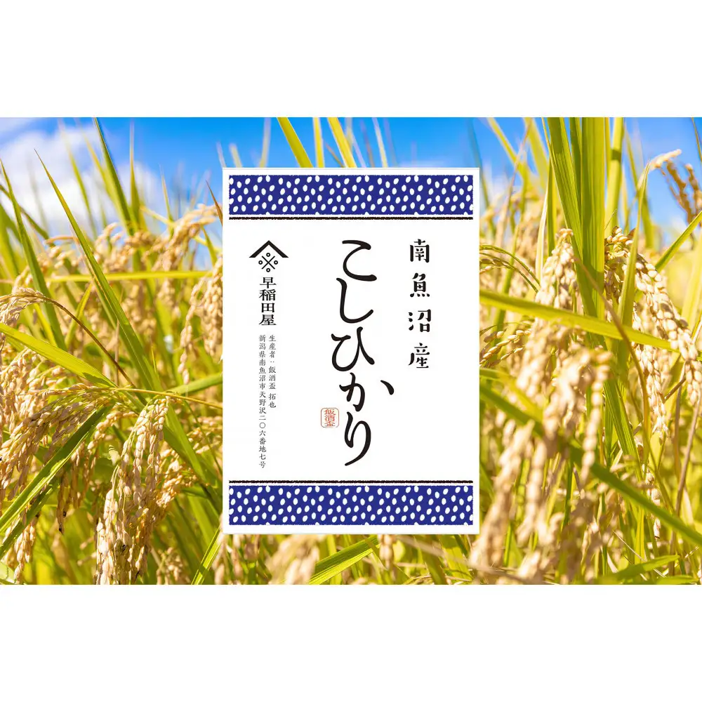 【ふるさと納税】【令和8年産新米予約】南魚沼産コシヒカリ 5kg　塩沢産コシヒカリ【銘柄米 ブランド米 精米 こしひかり コシヒカリ 魚沼産 新潟米 産地直送 お米 米 こめ】【2026年10月中旬より1ヵ月以内に順次発送予定】