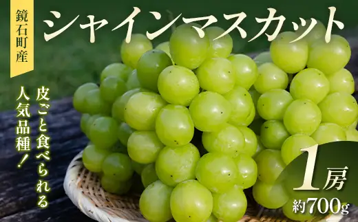 皮ごと食べられる人気品種！鏡石町産 シャインマスカット 1房（約700g）マスカット ぶどう ブドウ 葡萄 デザート フルーツ 果物 くだもの 果実 食品  F6Q-483