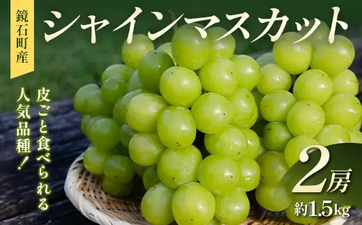 皮ごと食べられる人気品種！鏡石町産 シャインマスカット 2房（約1.5kg）マスカット ぶどう ブドウ 葡萄 デザート フルーツ 果物 くだもの 果実 食品  F6Q-484