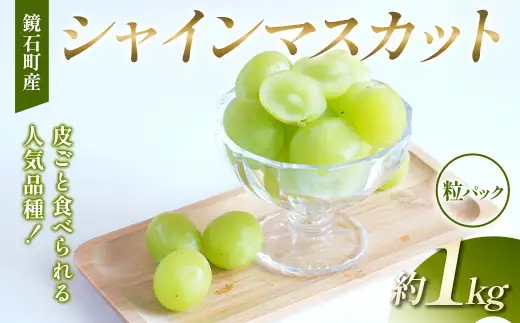 【粒パック】皮ごと食べられる人気品種！鏡石町産 シャインマスカット 約1kg 家庭用 マスカット ぶどう ブドウ 葡萄 デザート フルーツ 果物 くだもの 果実 食品  F6Q-486