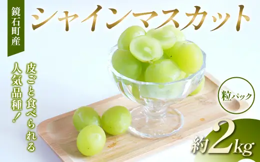 【粒パック】皮ごと食べられる人気品種！鏡石町産 シャインマスカット 約2kg 家庭用 マスカット ぶどう ブドウ 葡萄 デザート フルーツ 果物 くだもの 果実 食品  F6Q-487