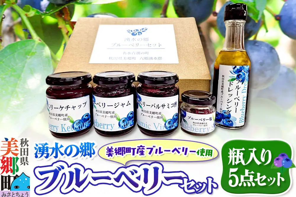 湧水の郷ブルーベリーセット 5点 （バルサミコ酢、ドレッシング、ジャム、ケチャップ、ブルーベリー塩）