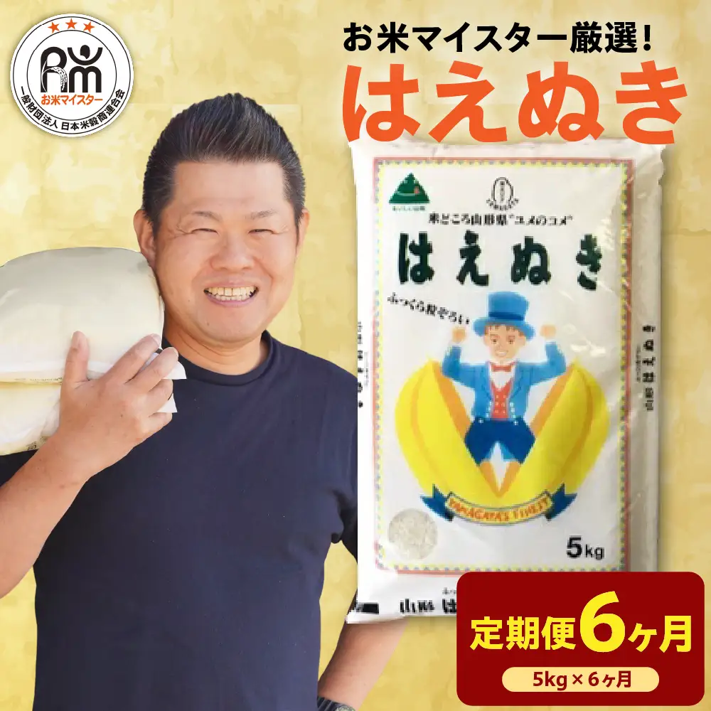 【先行予約】6ヶ月 定期便 令和8年産 はえぬき 5kg×6回 計30kg