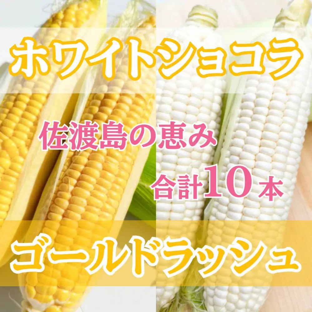 【2026年6月以降発送分】高糖度とうもろこし「ゴールドラッシュ」&「ホワイトショコラ」各5本 食べ比べセット