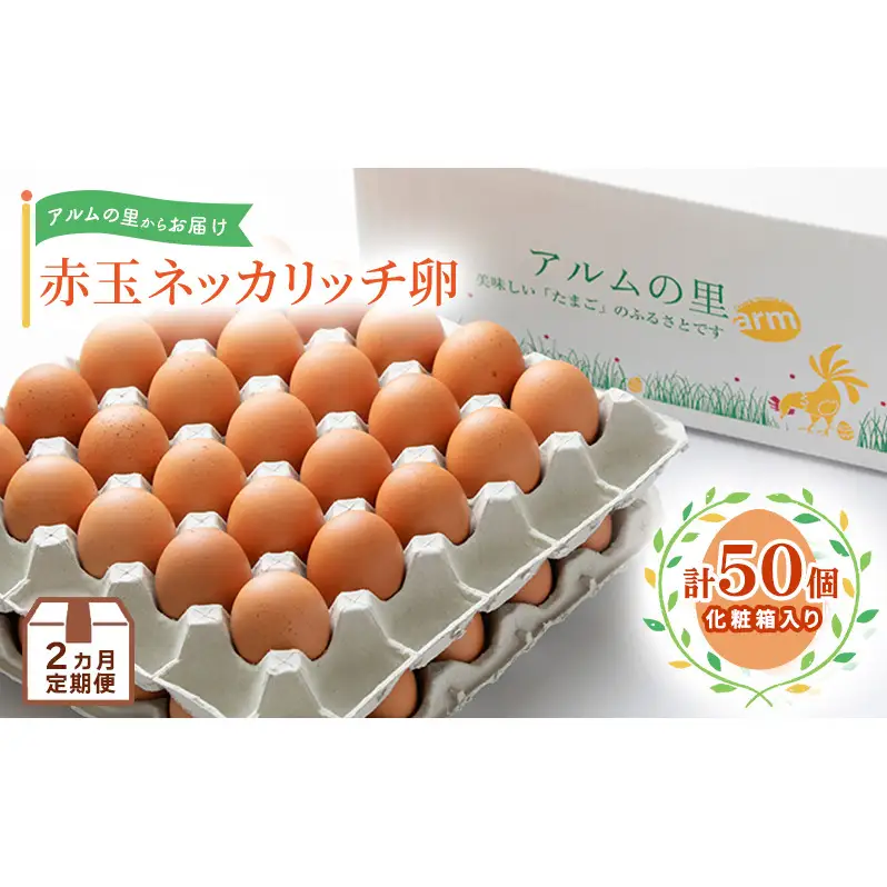 卵【2回 定期便】 赤玉 ネッカリッチ卵 50個入り 鶏卵 たまご
