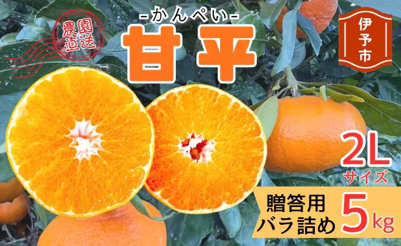 【2027年先行予約】みかん 甘平 5kg 2Lサイズ 贈答用 バラ詰め 【2027年2月上旬から順次発送予定】 農園直送 愛媛 数量限定 愛媛県産 人気 柑橘 伊予市｜C184