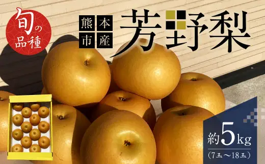 熊本市産 芳野梨 旬の品種 5kg なし ナシ 梨 果物 フルーツ 【2026年8月下旬～9月下旬迄発送予定】