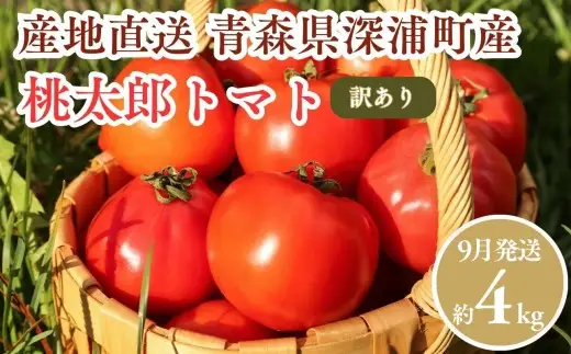 【9月発送】訳あり 青森県産 桃太郎 トマト 約4kg 大玉 tomato 新鮮 野菜 旬 甘い 完熟 ジュース 産地直送 農家直送 [fu-0022-003-09]