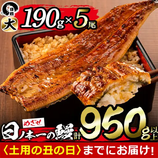 【丑の日までに配送】日ノ本一の鰻の蒲焼き＜大＞5尾セット(計950g以上) うなぎ 鰻 ウナギ 国産 鹿児島県産 九州産 蒲焼き 冷凍 うな重 ひつまぶし d3-001-us