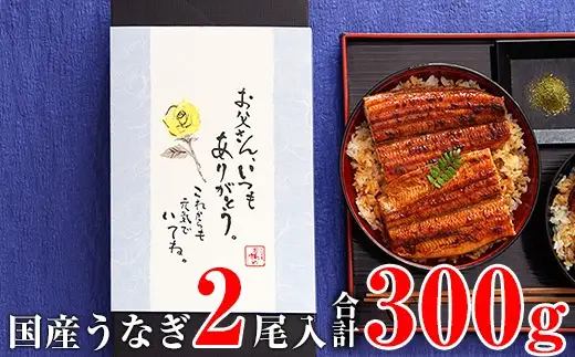 【父の日用】国産うなぎ蒲焼き大サイズ2本セット(B1161-1) 