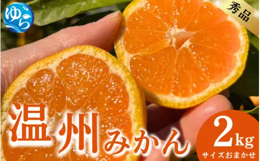 秀品 温州みかん 2kg サイズおまかせ（S～L） / ミカン 蜜柑 温州ミカン 柑橘 産地直送 由良町 和歌山 ※11月下旬～12月下旬頃に順次発送予定【kjen004-r-2】