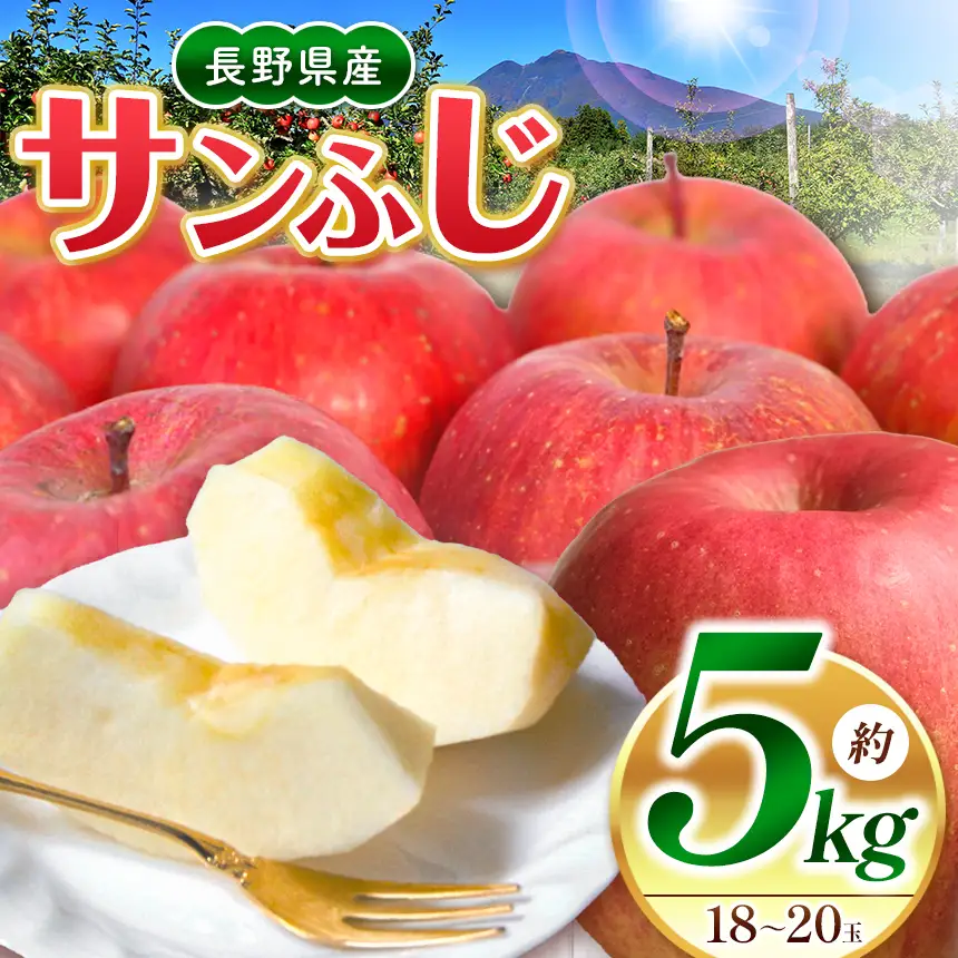 先行受付】サンふじ 5kg(18～20玉) | 長野県松本市 | ふるさと納税