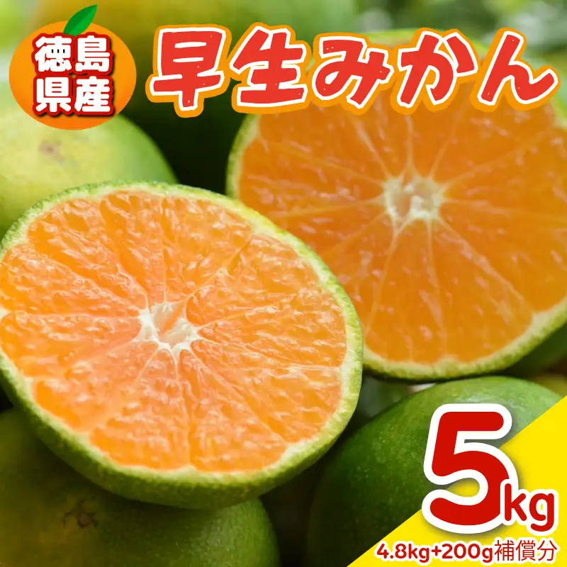 みかん 早生みかん 5kg 柑橘 フルーツ 果物
