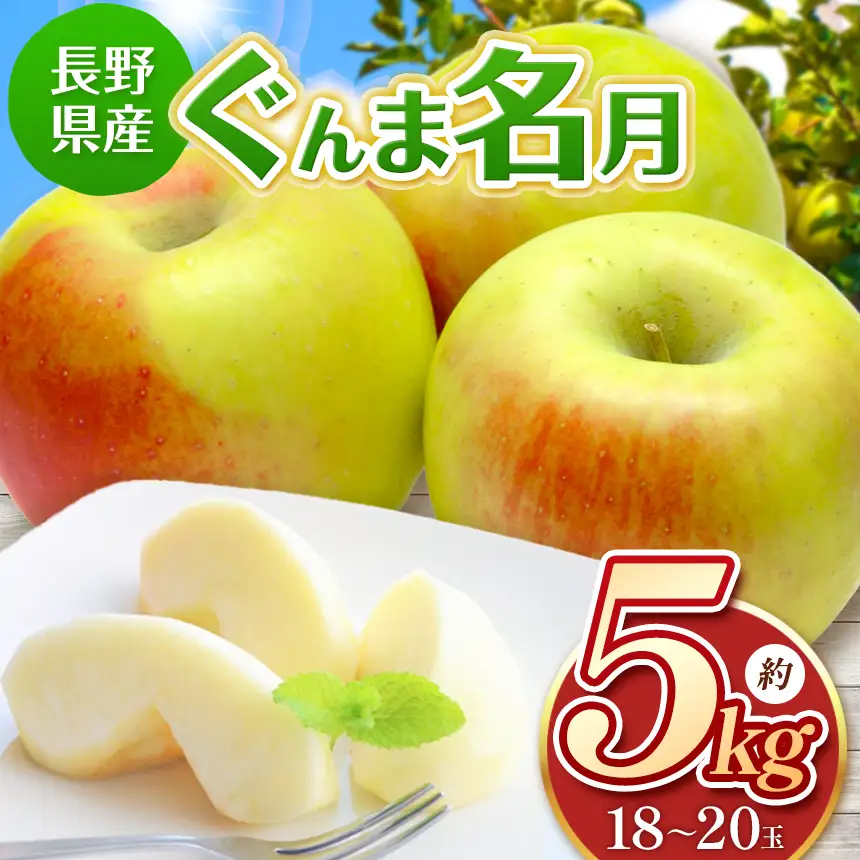 【先行受付】ぐんま名月 5kg(16～18玉)