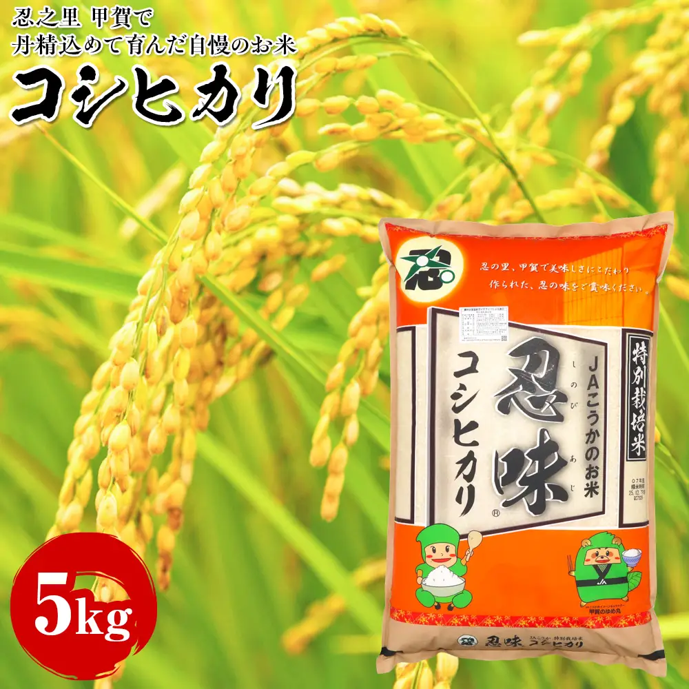 コシヒカリ 5kg 甲賀で丹精込めて育んだ自慢のお米