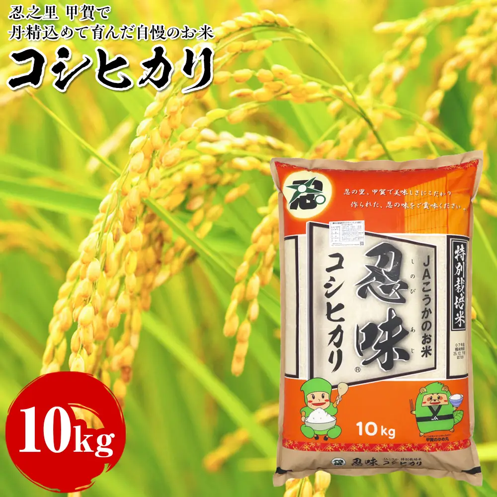 コシヒカリ 10kg 甲賀で丹精込めて育んだ自慢のお米