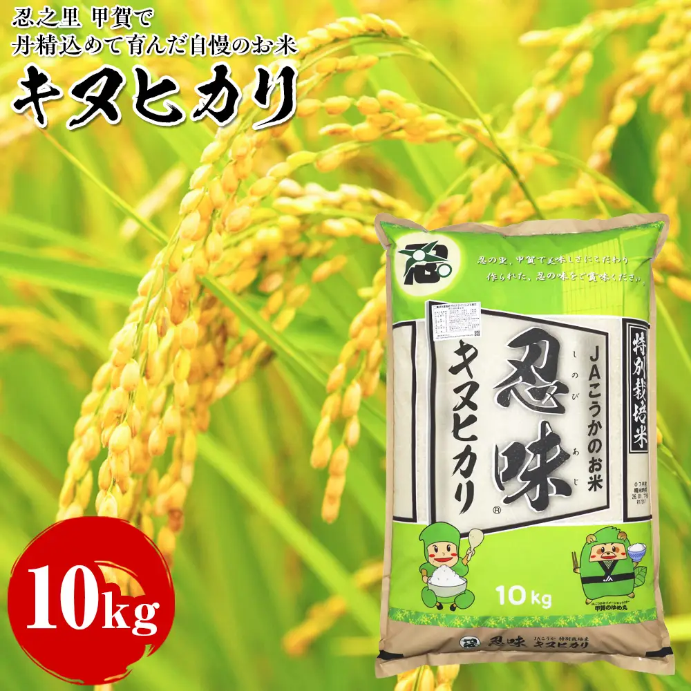 キヌヒカリ 10kg 甲賀で丹精込めて育んだ自慢のお米