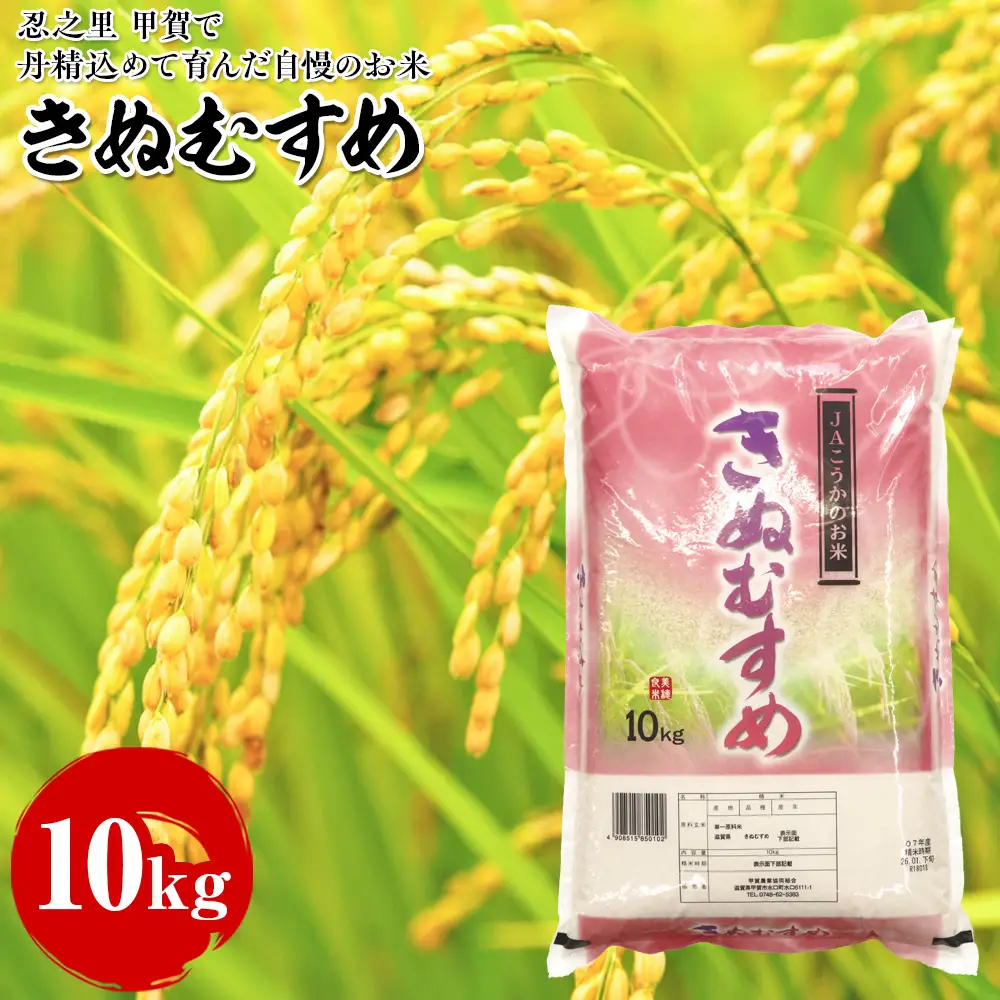 きぬむすめ 10kg 甲賀で丹精込めて育んだ自慢のお米