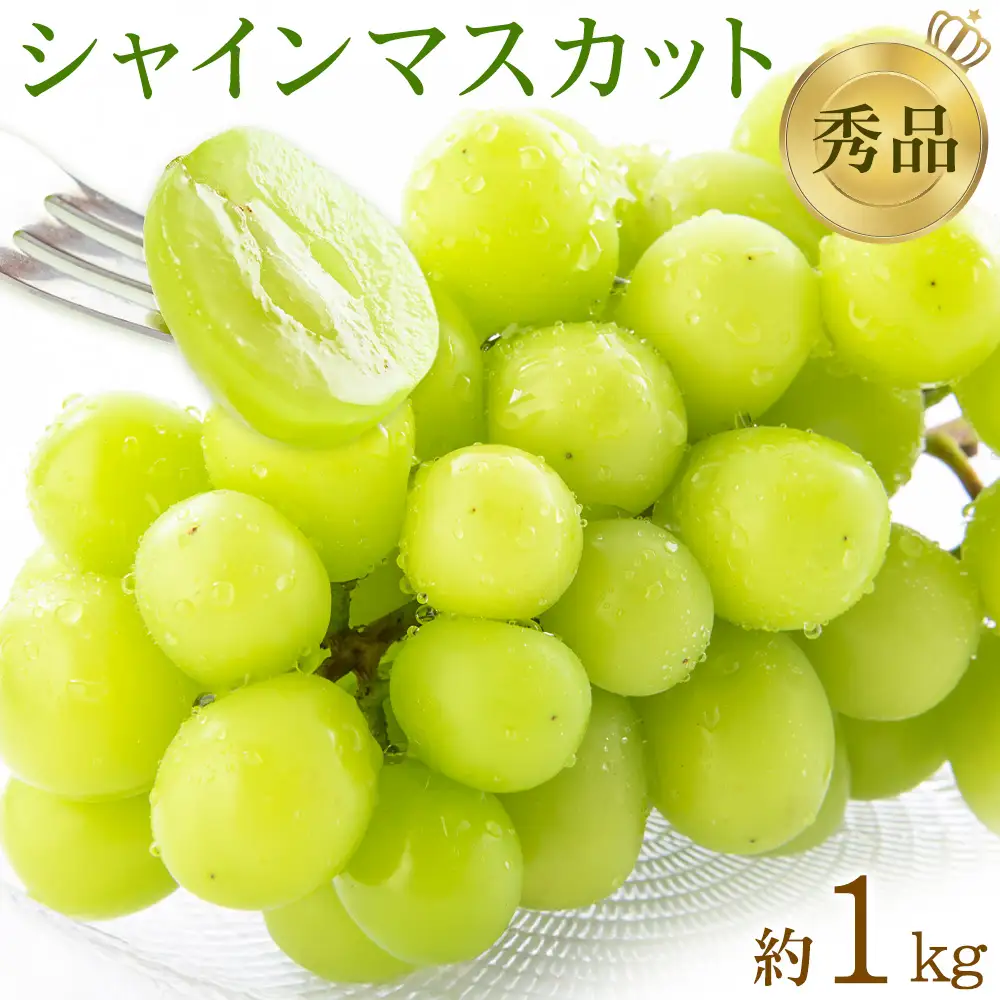 先行予約 シャインマスカット 秀品 内容量 約1kg(2房) 日本フルーツ《7月下旬-8月末頃出荷》熊本県 荒尾市 ぶどう ブドウ 果物 フルーツ スイーツ デザート ギフト ご贈答
