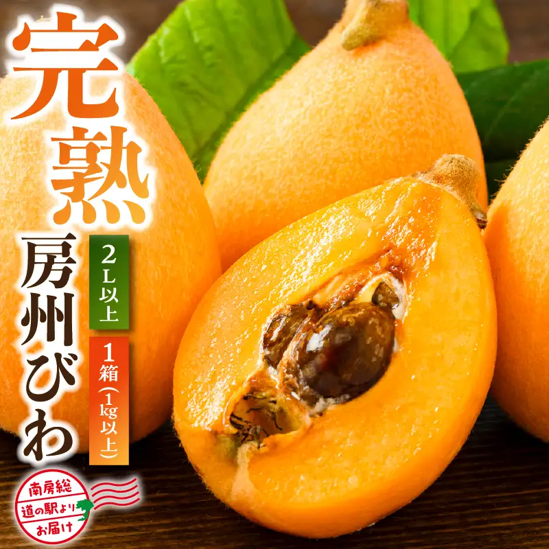 【南房総・道の駅よりお届け】完熟『房州びわ』　 2L以上　1箱（1kg以上）mi0125-0001