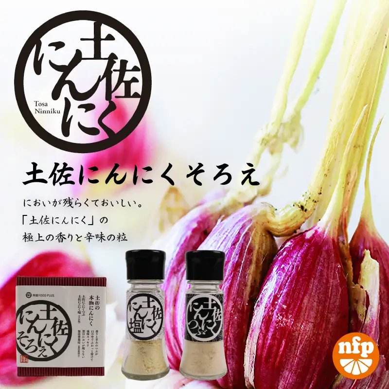 土佐にんにくそろえ にんにく塩 にんにくつぶ セット | ニンニク 簡単 万能 調味料 スパイス パウダー ガーリック 国産 天日 塩 ギフト 贈答用 長期保存  南国市