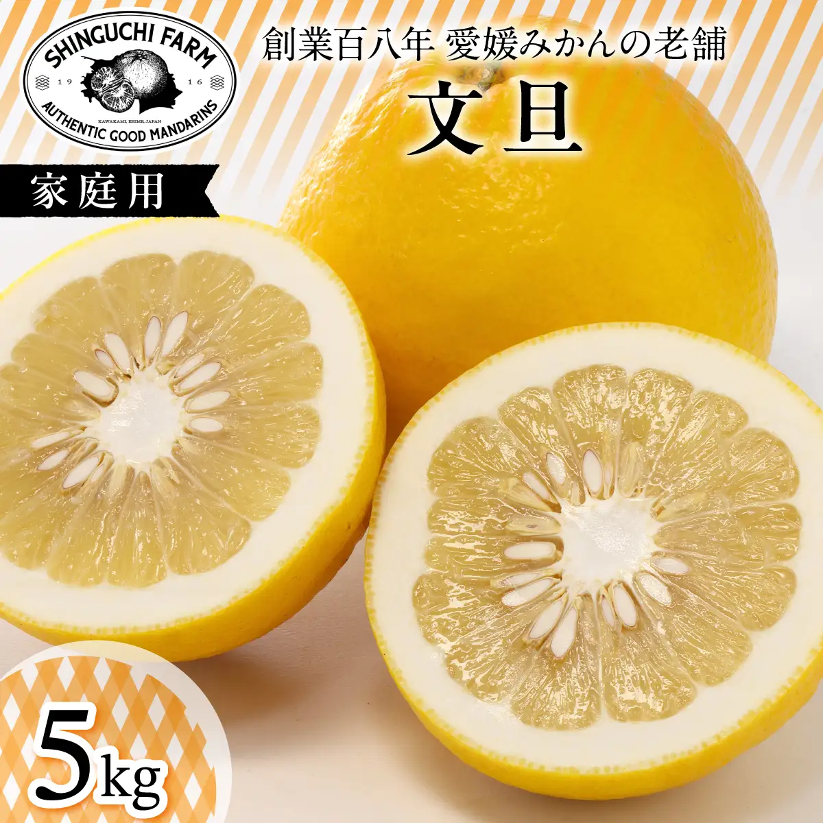 創業百八年 愛媛みかんの老舗【文旦5kg】家庭用【新口農園】【D70-31】【1470650】 YWTK031