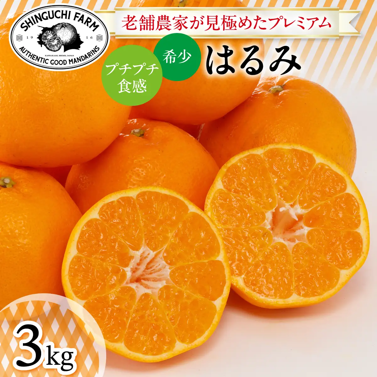 老舗農家が見極めたプレミアム【はるみ3kg】【希少・プチプチ食感】【C70-130】【1684351】 YWTK129