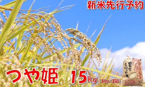 【令和８年産米 先行予約】つや姫15kg　佐藤
