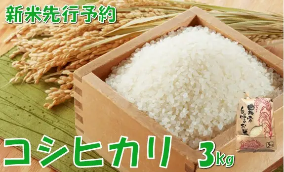 令和8年産米 先行予約】コシヒカリ3kg 佐藤 | 山形県小国町