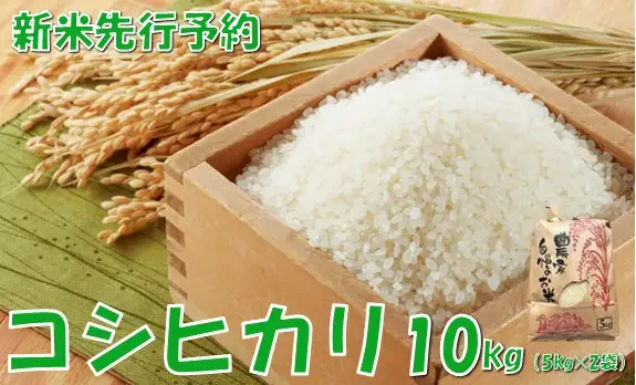 【令和８年産米 先行予約】コシヒカリ10kg　佐藤