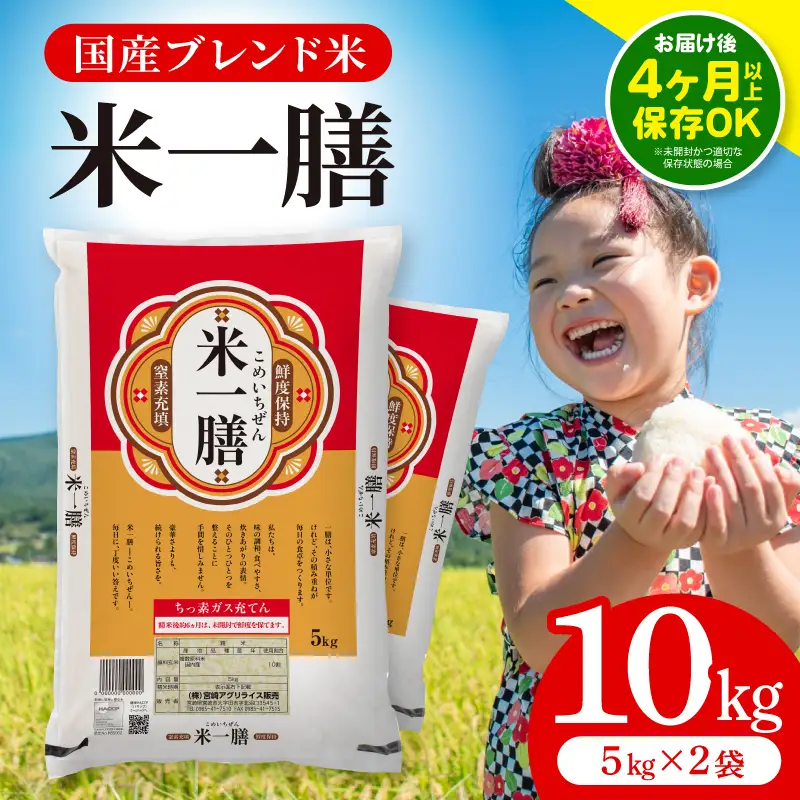 国産ブレンド米 「米一膳」10kg 米