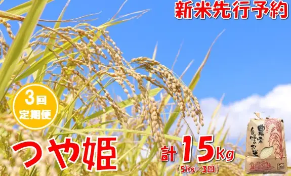 【3回定期便】【令和８年産米 先行予約】つや姫5kg　計15kg　佐藤