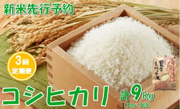 【3回定期便】【令和８年産米 先行予約】コシヒカリ3kg　計9kg　佐藤