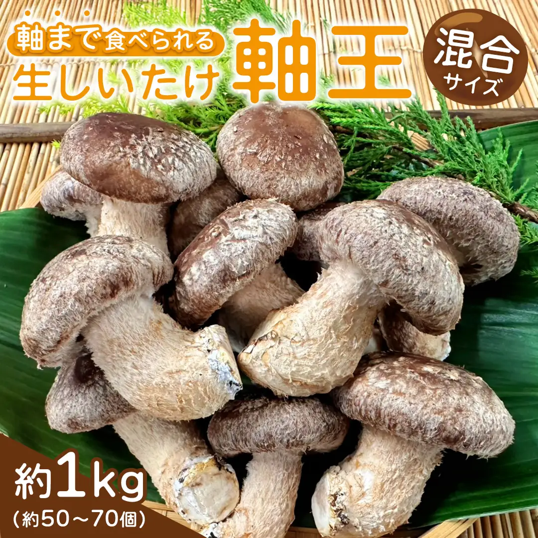産地直送！軸まで美味しい『軸王しいたけ』サイズ混合 約1kg (約50～70個)