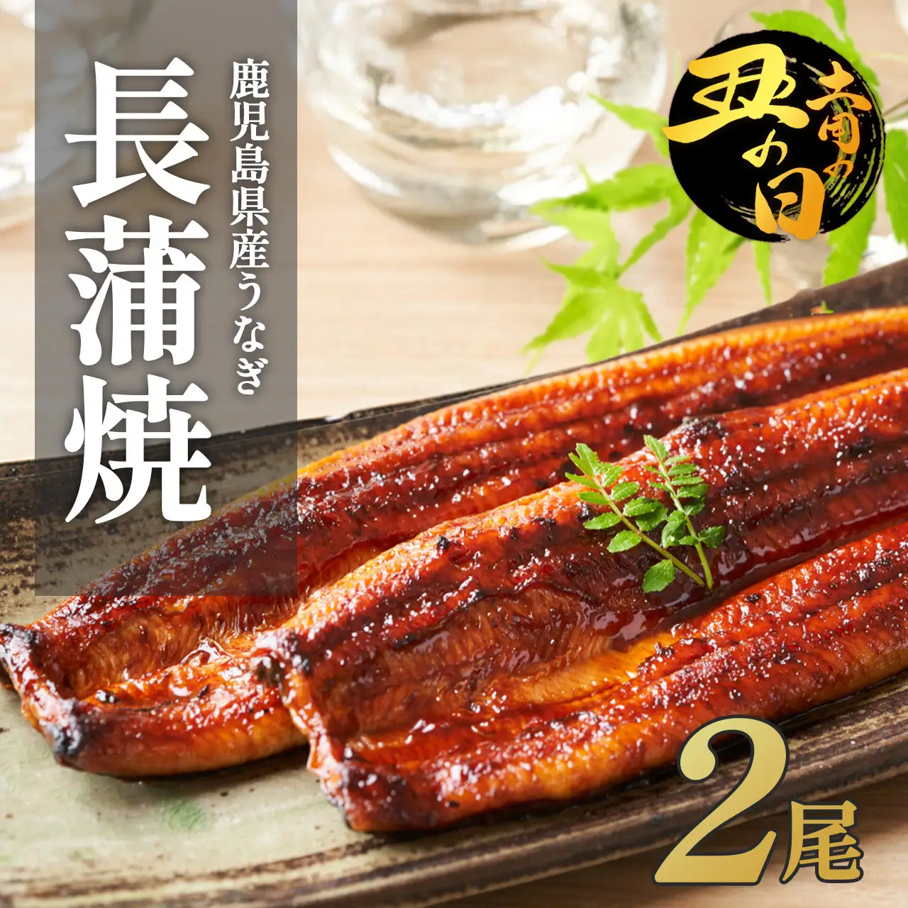 【土用丑の日】ふるさと納税限定　鹿児島県大崎町産 国産 うなぎ長蒲焼 2尾 計320g以上 | 鰻 うなぎ蒲焼き うな重 ひつまぶし ウナギ 蒲焼 人気 おすすめ 鹿児島 大隅半島 DU001　