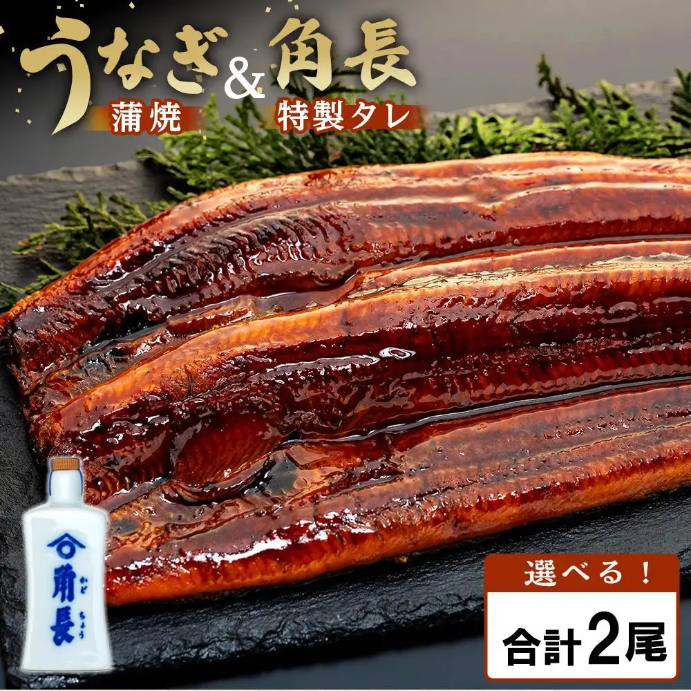 父の日までにお届け 【有田川町×湯浅町】うなぎ蒲焼2本＆角長特製蒲焼タレ1本セット