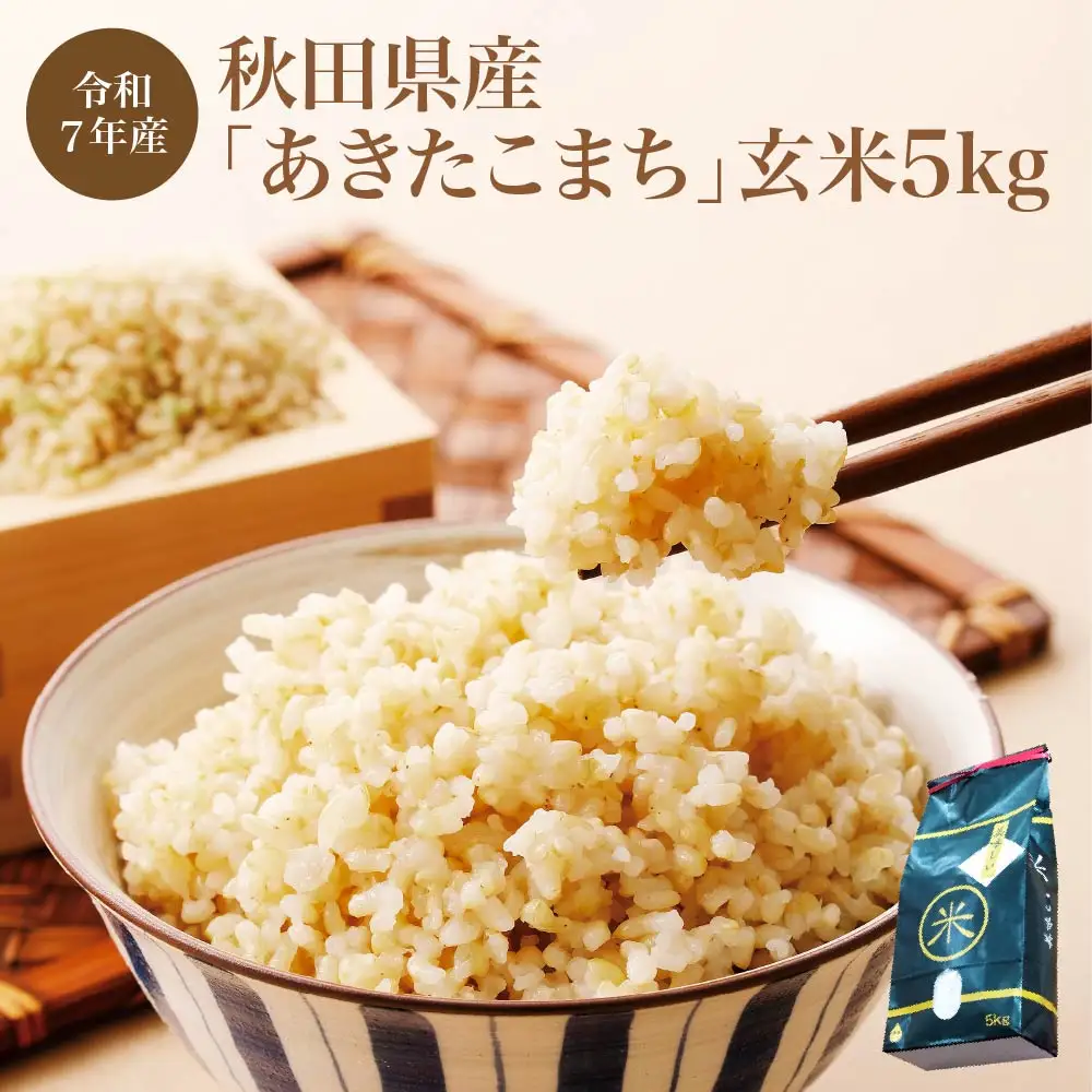 【令和7年産】秋田県産「あきたこまち」玄米5kg（5kg×1袋）　【90P9036】