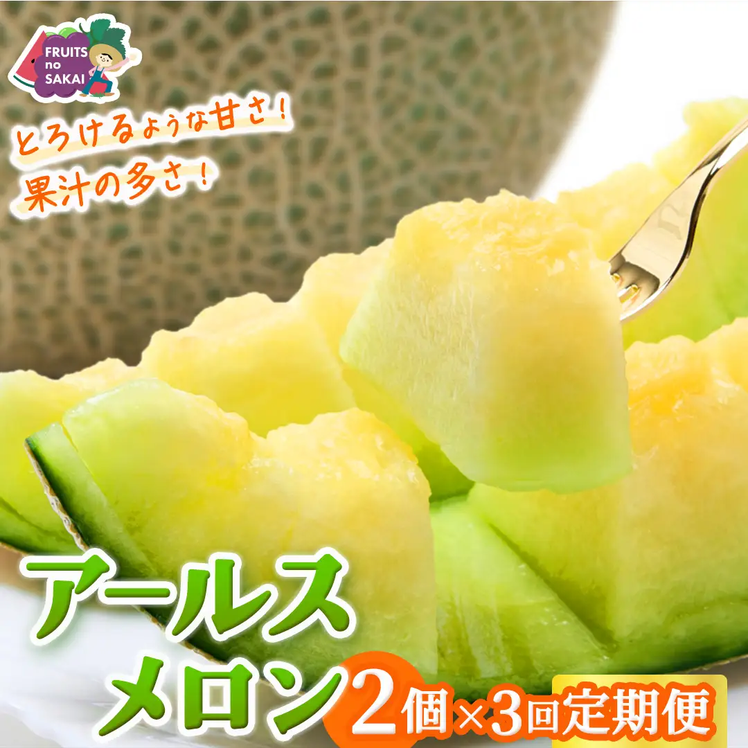 【定期便】 アールスメロン 2玉 × 3か月連続