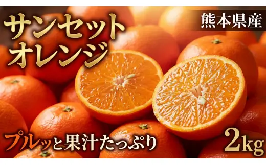 熊本県産　EC12　イーシージュウニ　サンセットオレンジ （約2キロ） おれんじ 柑橘 果物 フルーツ 2kg【2027年1月下旬発送開始】