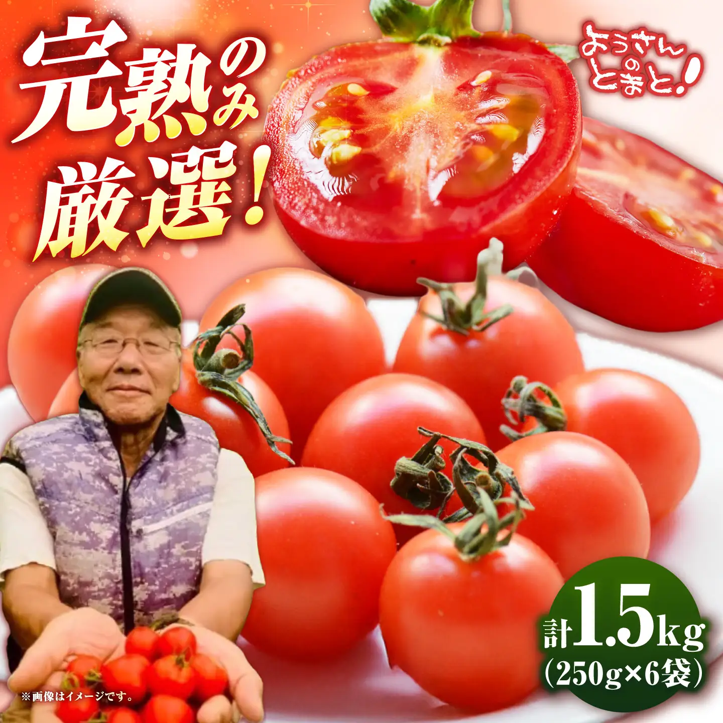 先行予約】壱岐市産 ミニトマト 1.5kg（250g×6袋）【2026年8月下旬以降