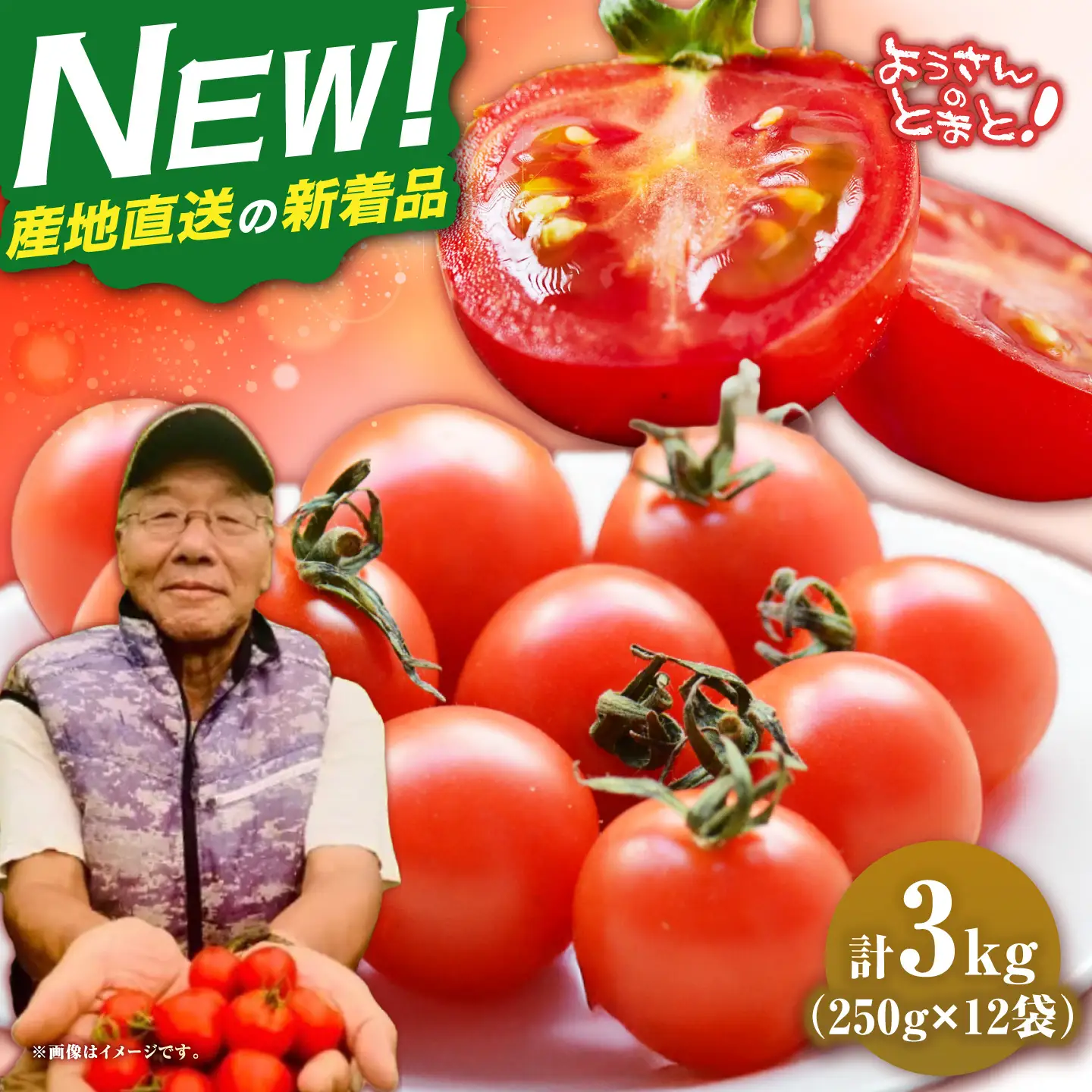 【先行予約】完熟ミニトマト 3kg [JHC002] トマト 野菜