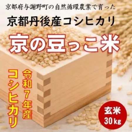令和7年 京都府産「京の豆っこ米」 玄米30kg　おいしい丹後のコシヒカリ　農家直送【1715124】