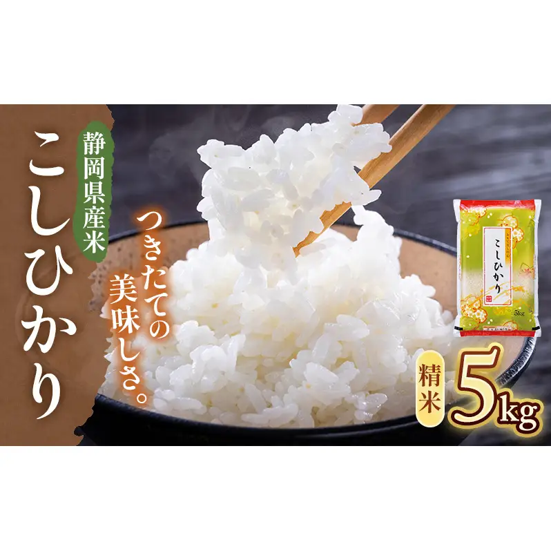 【令和7年産】静岡県産米 こしひかり 5kg 川島米穀店 お米 精米 こめ ご飯 白米 静岡 浜松市