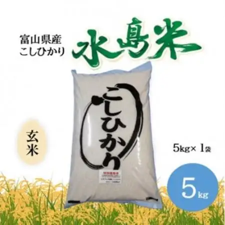 栽培期間中農薬・化学肥料不使用　こしひかり　玄米 5kg×1袋(5kg)【1735069】